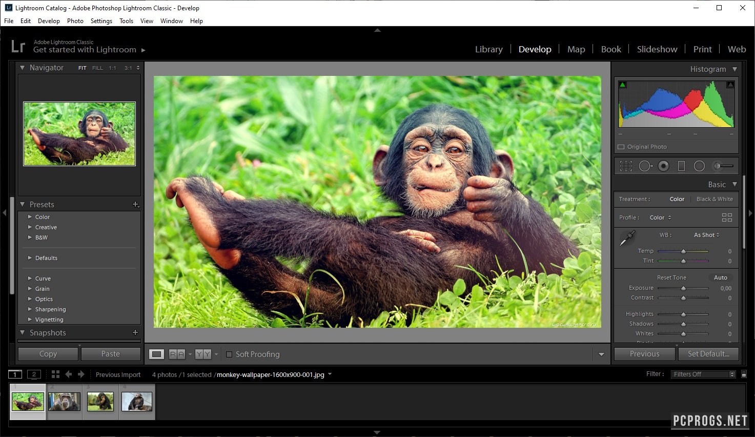 Lightroom 8.4.1