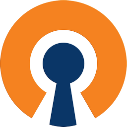 OpenVPN Client 2.6.4