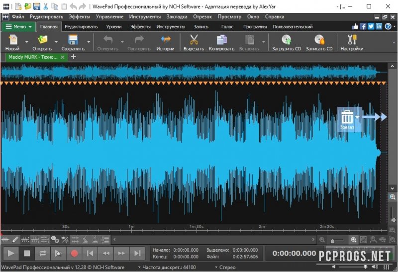 NCH WavePad Audio Editor 17.80 instal the last version for ios
