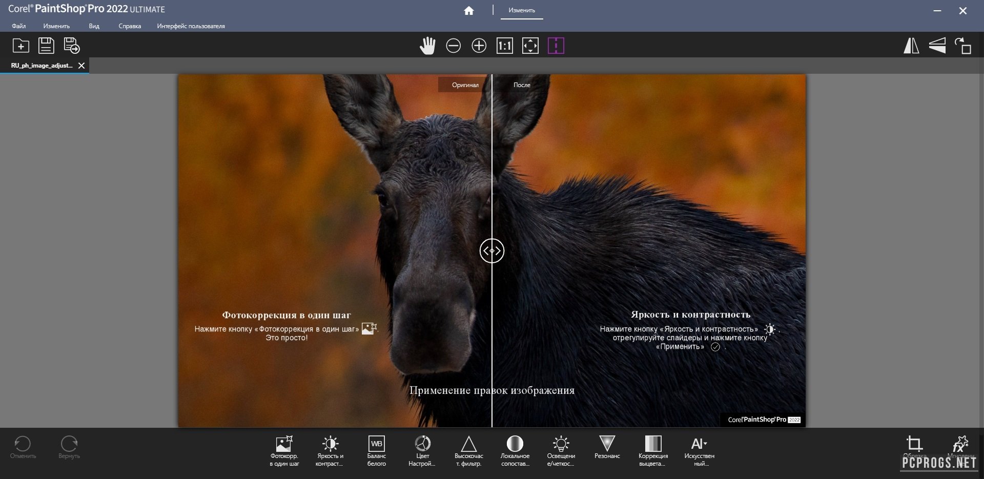 Corel Paintshop 2023 Pro Ultimate 25.2.0.58 instal the new version for iphone