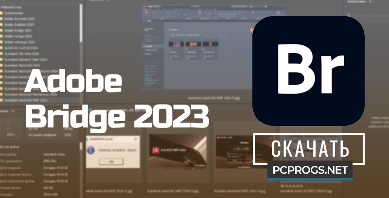 Adobe Bridge 2023 v13.0.4.755 for windows download